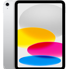 Apple iPad 10.9 (64GB)