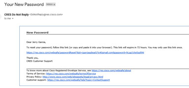 Reset Password Email